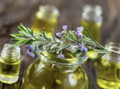 Ne trebaju vam skupe kreme! Evo kako ružmarin može prirodno osvježiti vašu kožu