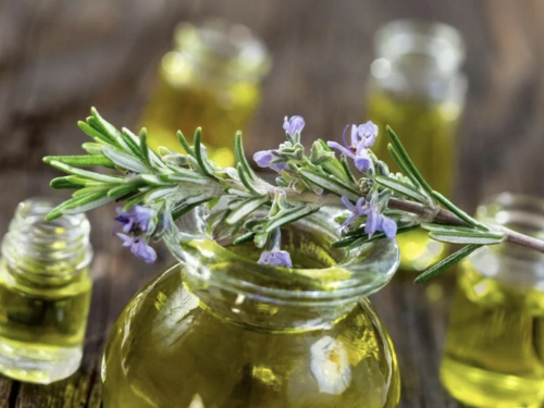 Ne trebaju vam skupe kreme! Evo kako ružmarin može prirodno osvježiti vašu kožu