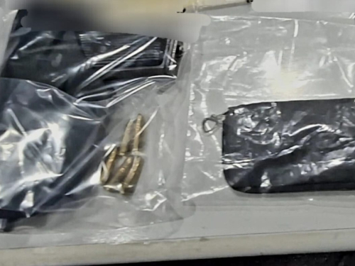 Policijska akcija u Prozoru-Rami: Pretresom kuće pronađeni droga i oružje