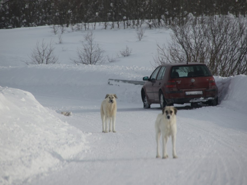 FOTO: Čuvari ''Ramskih vrata''