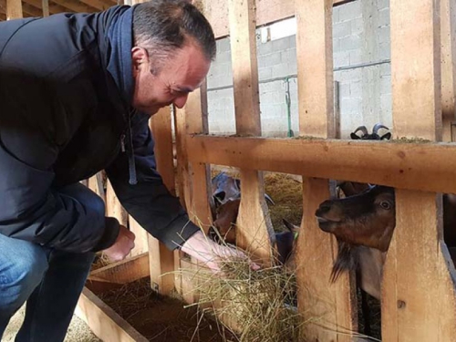 Farmer Ante: Posla ima dovoljno za cijelu obitelj