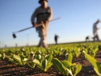 Ukupna poljoprivredna proizvodnja u FBiH u 2019. smanjena za 7,3 posto