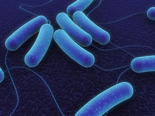 Bakterije će ubijati 10 milijuna ljudi godišnje