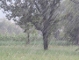 Očekuju se obilne padaline, moguće poplave