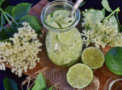 Domaći sirup od zove: recept, savjeti i ljekovita svojstva