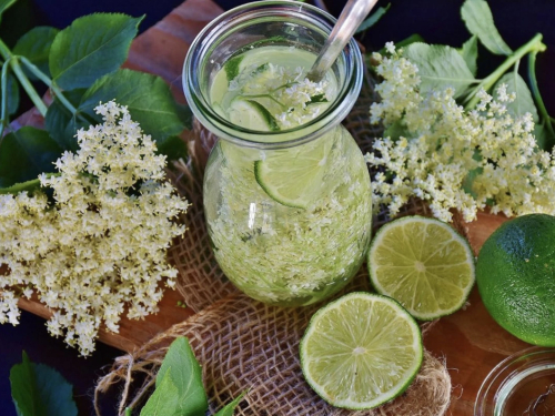 Domaći sirup od zove: recept, savjeti i ljekovita svojstva