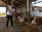 Mato se vratio iz Austrije i otvorio farmu krava: ''Vidim više mogućnosti''