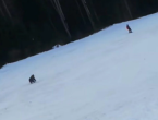 Medvjed ga jurio po skijalištu, ljudi na žičari vrištali