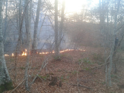 Na Makljenu gori trava i nisko raslinje