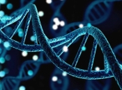 Studija otkrila milijardu genetskih varijanti