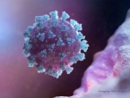 Imunitet na koronavirus mogao bi biti dugotrajan