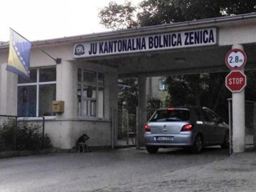 Svinjska gripa odnijela još jedan život u BiH