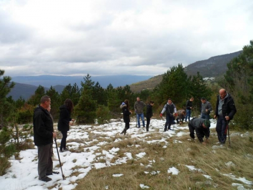 Uspješno realizirana akcija pošumljavanja na području općine Prozor-Rama