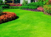 Ovim jednostavnim trikom vratite blistavu zelenu boju svom travnjaku