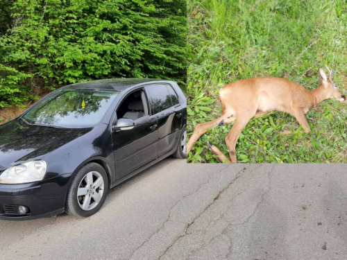 Neobična prometna na Ometalama: U naletu na automobil stradao srndać