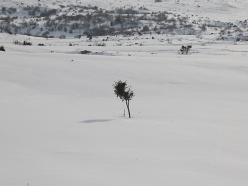 FOTO: Čuvari ''Ramskih vrata''