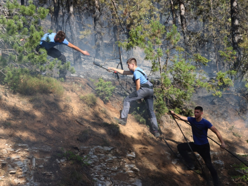 VIDEO/FOTO: Požar u Podboru - Vatrogasci nemoćni, borovina gori nekontrolirano