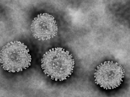 Tim hrvatskog profesora otkrio slabu točku koronavirusa