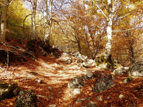 FOTO: HPD Rama na Kamešnici