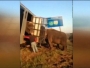 VIDEO: Slonovi spasili kamion od prevrtanja!