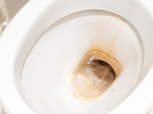 Žute mrlje nestat će iz WC školjke za 30 minuta, samo ulijte jedan običan sastojak iz kuhinje