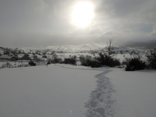 FOTO: Vjetar i snijeg gospodari na Raduši
