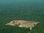 Zabilježeno rekordno krčenje šuma u brazilskoj Amazoniji