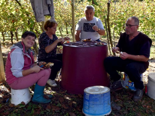 FOTO: Zora i Slavko Bošnjak iz Rame postali pravi vinogradari