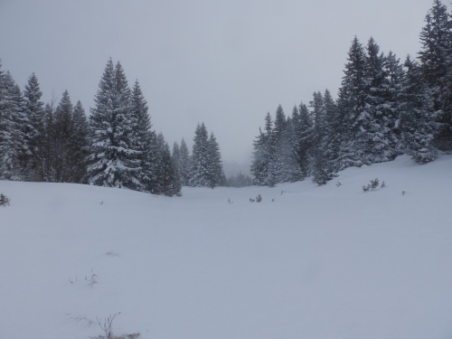 FOTO: Vjetar i snijeg gospodari na Raduši