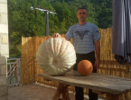 FOTO: Marin uzgojio tikvu tešku 55 kg