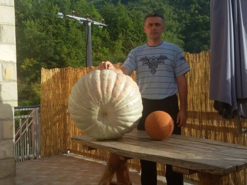 FOTO: Marin uzgojio tikvu tešku 55 kg