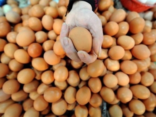 Dijeta s jajima: Čudotvoran način topljenja kilograma