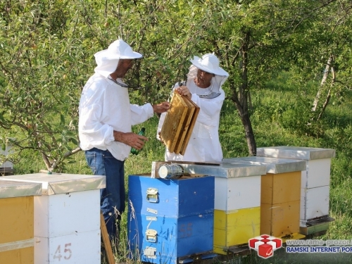 Pčelari u teškoj situaciji, prinosi meda loši već godinama