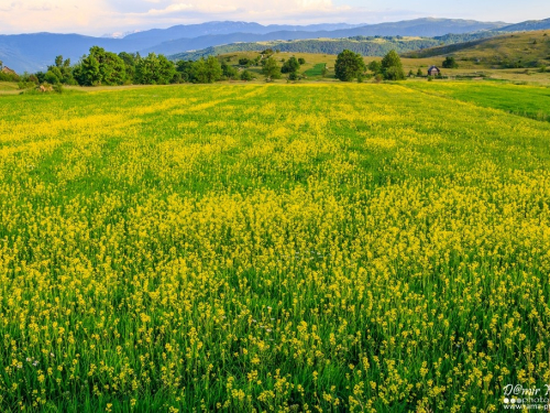 FOTO: Priroda i ljudi - lipanj 2015.