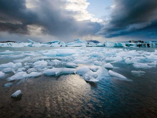 Na Arktiku aktualna zima najtoplija u povijesti mjerenja