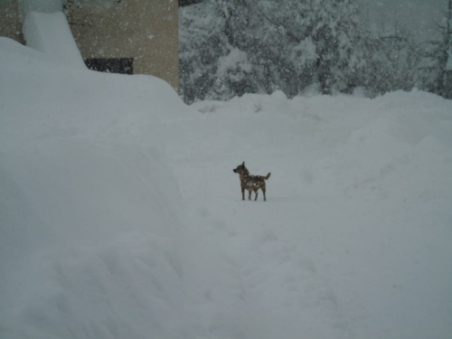 FOTO: Visina snijega na Orašcu 76 cm