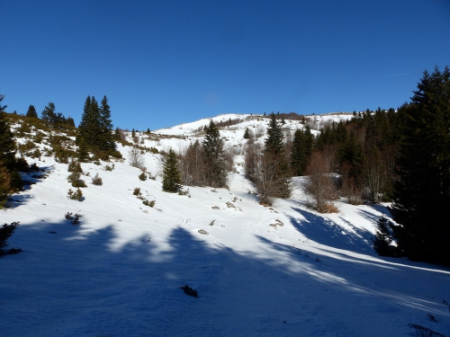 FOTO: Zimski uspon na planinu Radušu