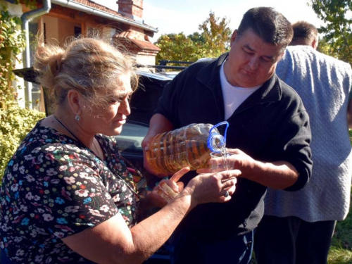 FOTO: Zora i Slavko Bošnjak iz Rame postali pravi vinogradari