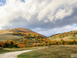 Draševo jesen 2015.