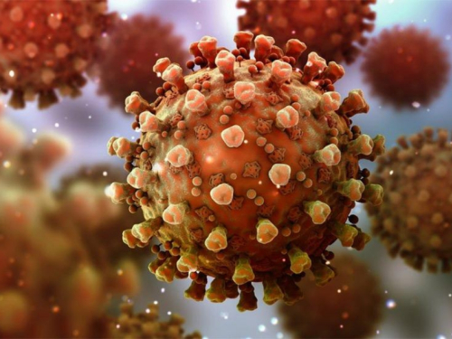 Otkriveno što ubija koronavirus