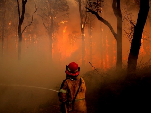 Novim Zelandom hara jedan od najvećih požara u povijesti te zemlje