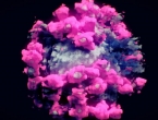 3D prikaz koronavirusa