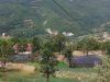 Povratnici kod Konjica: Sumnjiva pogibija, prijetnje smrću i ubojstvo pasa