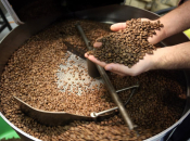 Kava drastično poskupjela: Više od 20% skuplja nego lani