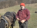 Poskupljenje goriva u BiH ponovo pokrenulo konje za oranje na njivama