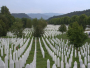 Obilježavanje 26. godišnjice genocida u Srebrenici