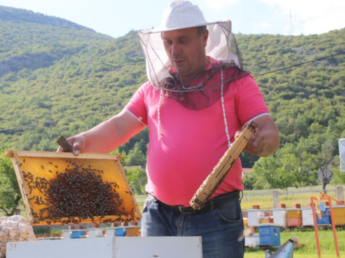 Šimun Lovrić i njegova ''tvornica'' pod vedrim nebom