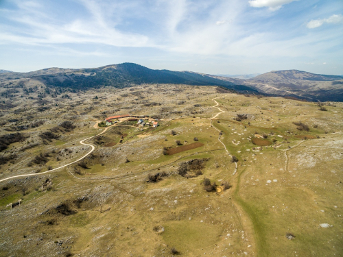 FOTO/VIDEO: Ramo moja morat ću te slikat - Kozo