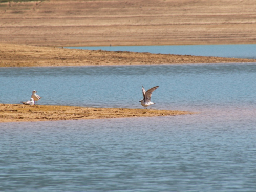 FOTO: Ramsko jezero - mjesto uživanja i rekreacije