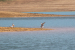 FOTO: Ramsko jezero - mjesto uživanja i rekreacije
